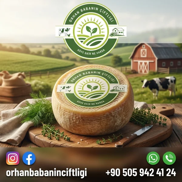Çorum'un Kalbinden: Doğal Köy Peynirinin Geleneksel Hikayesi