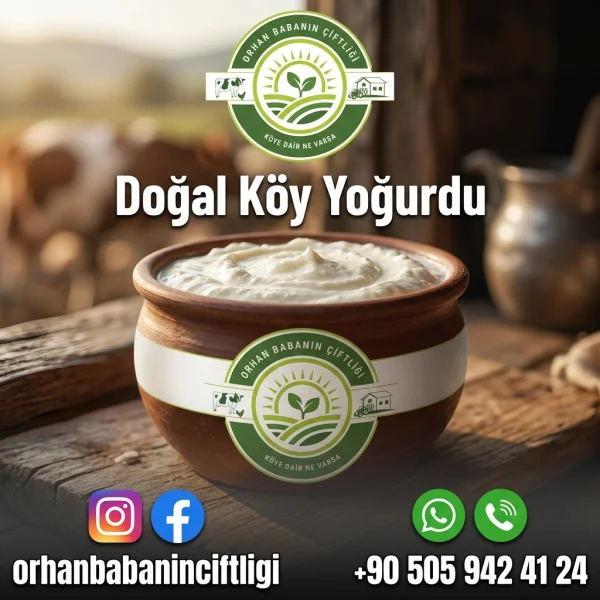 Ankara Sofralarına Çorum'dan: Doğal Köy Yoğurdunun Fermente Lezzeti