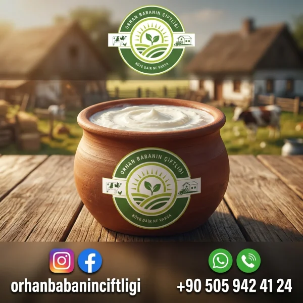 Kayseri Sofralarına Çorum'dan: Doğal Köy Yoğurdunun Sırrı