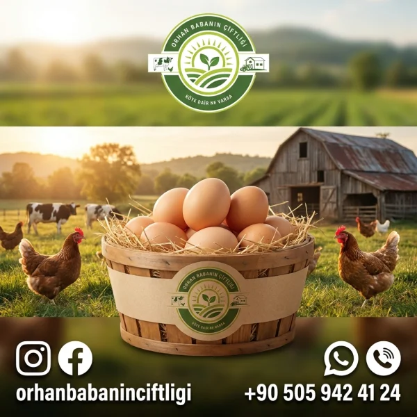 Bursa İçin Köy Yumurtasıyla 3 Lezzetli Kahvaltı Tarifi
