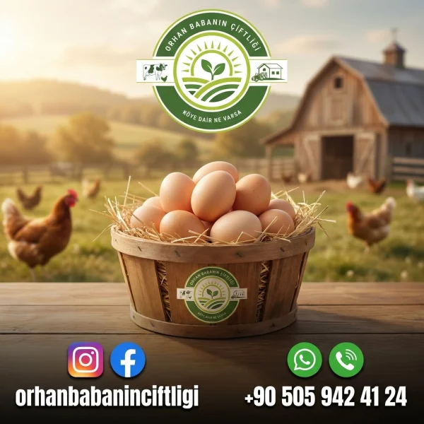 Samsun İçin Köy Yumurtası: Buzdolabında Uzun Süre Nasıl Saklanır?