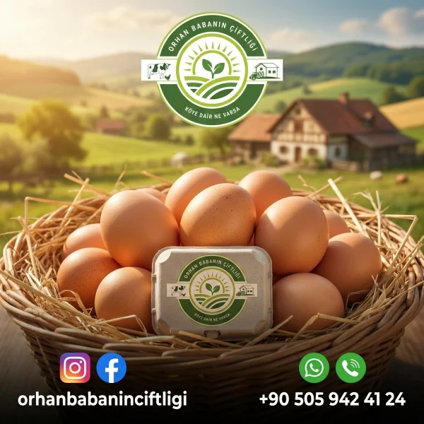Kayseri Köy Yumurtası: Buzdolabında Ne Kadar Saklanır?