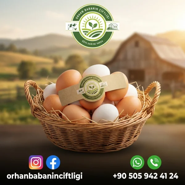 Mersin Sofraları İçin: Taze Köy Yumurtası Buzdolabında Ne Kadar Saklanır?