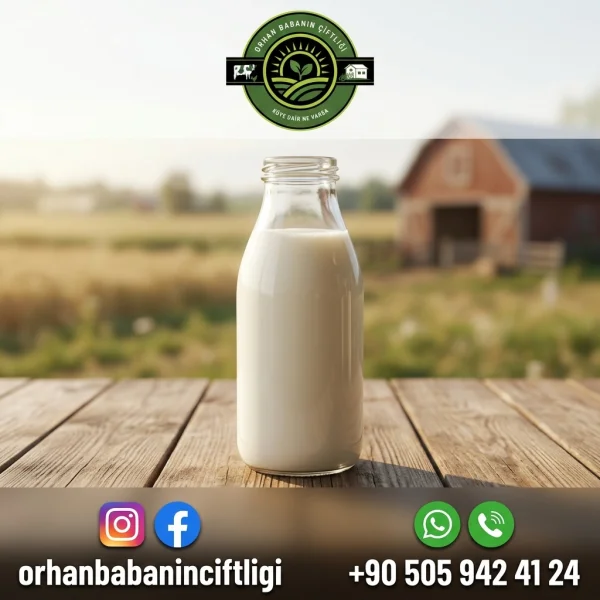 Eskişehir Sofralarına Çorum'dan: Günlük Taze Süt Yolculuğu