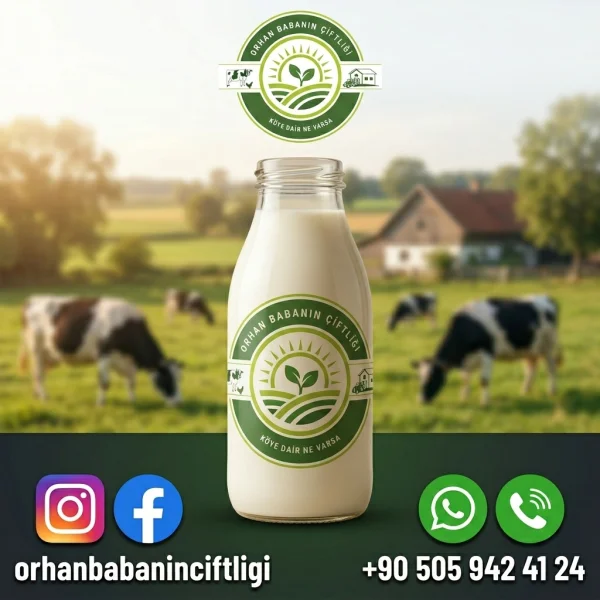 Bursa Sofralarına Çorum'dan Günlük Taze Süt: Doğanın Gücü