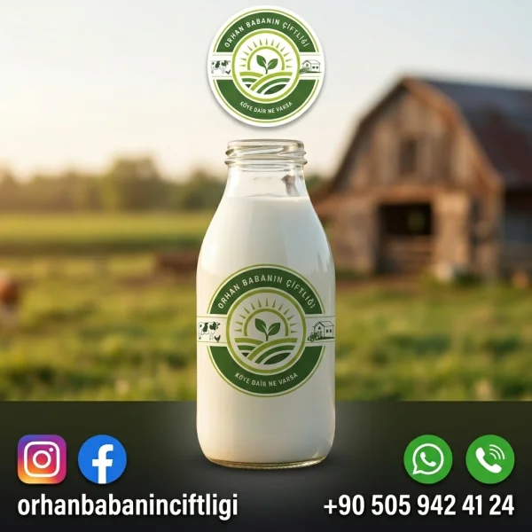 Antalya'ya Özel: Günlük Çiğ Sütle Neler Yapılır? 3 Kahvaltı Tarifi