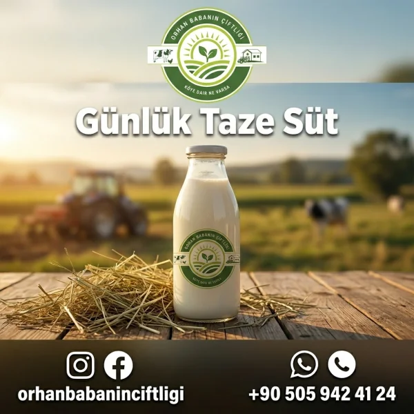 Çorum'dan Konya'ya Taptaze Köy Sütü: Günlük Çiğ Süt Siparişi