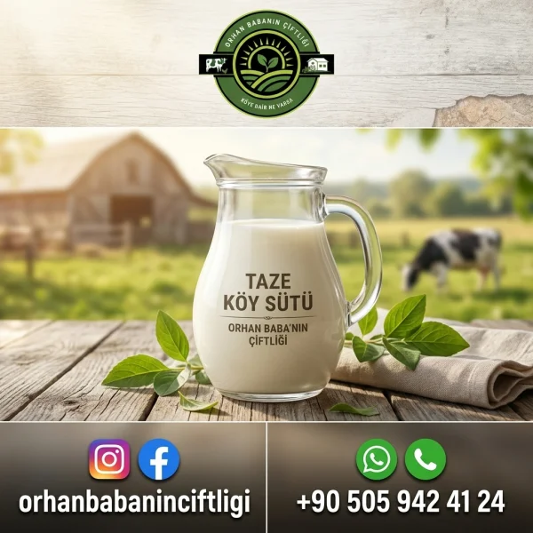 Tekirdağ İçin Günlük Çiğ Süt Nasıl Pastörize Edilir? Adım Adım